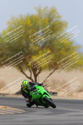 media/Apr-12-2025-Race Pace (Sat) [[9230add55f]]/Vested/6-Turn 4 Tree of Life (115pm)/